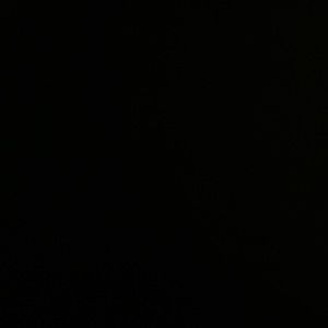 Meet your Posher, Darrell